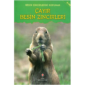 Çayır Besin Zincirleri Buffy Silverman