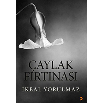 Çaylak Fırtınası-Ikbal Yorulmaz