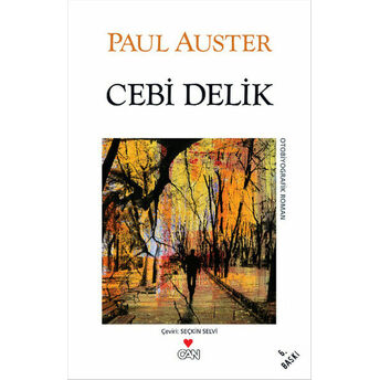 Cebi Delik Paul Auster