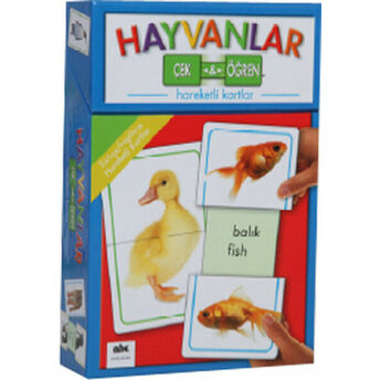 Çek Ve Öğren - Hayvanlar (Ciltli) Kolektif