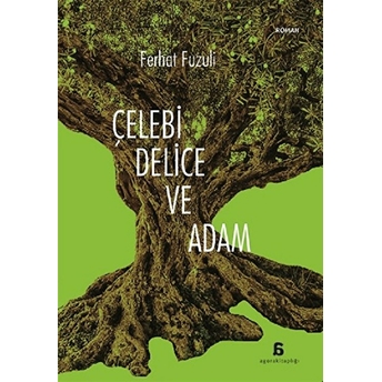 Çelebi, Delice Ve Adam Ferhat Fuzuli