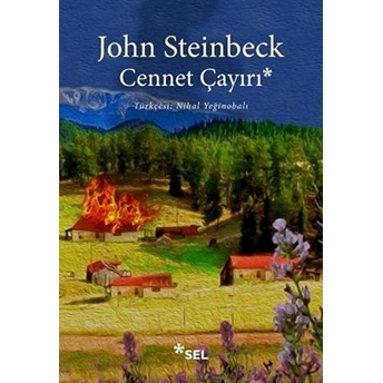 Cennet Çayırı John Steinbeck