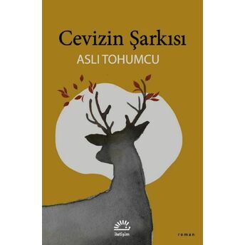 Cevizin Şarkısı Aslı Tohumcu