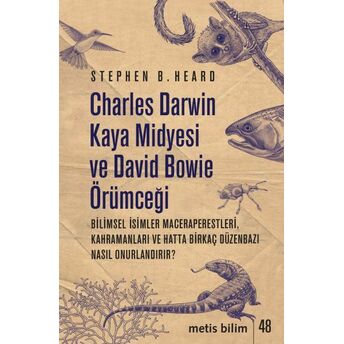 Charles Darwin Kaya Midyesi Ve David Bowie Örümceği Stephen B. Heard