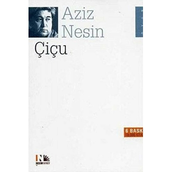 Çiçu Aziz Nesin