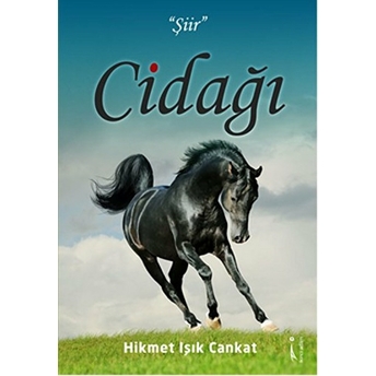 Cidağı