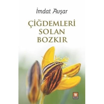 Çiğdemleri Solan Bozkır Imdat Avşar