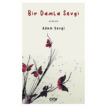 Çığır Yayınları Bir Damla Sevgi - Adem Sevgi