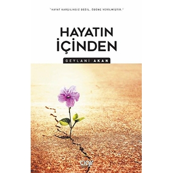 Çığır Yayınları Hayatın Içinden - Geylani Akan - Çığır Yayınları