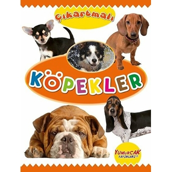 Çıkartmalı Köpekler Kolektif