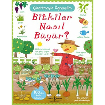 Çıkartmayla Öğrenelim Bitkiler Nasıl Büyür? Felicity Brooks