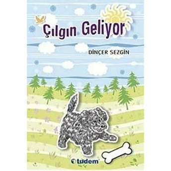 Çılgın Geliyor Dinçer Sezgin