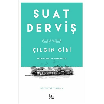 Çılgın Gibi Suat Derviş