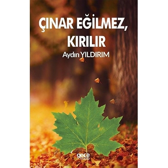 Çınar Eğilmez, Kırılır