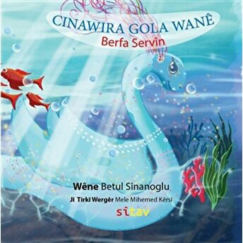 Cinawira Gola Wane Berfa Servin