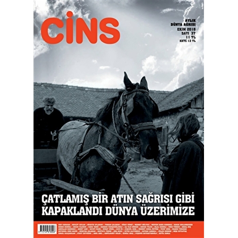 Cins Aylık Dergi Sayı: 37 Ekim 2018