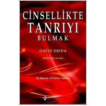 Cinsellikte Tanrı’yı Bulmak David Deida