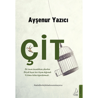 Çit Ayşenur Yazıcı