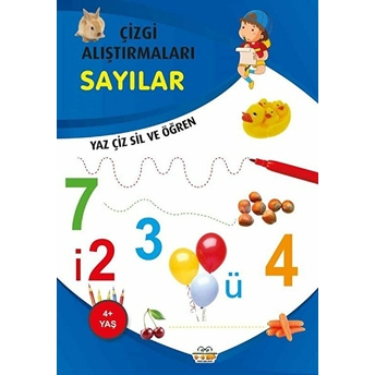 Çizgi Alıştırmaları Sayılar