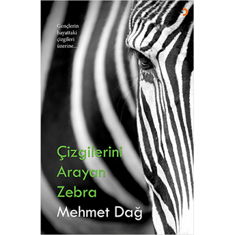 Çizgilerini Arayan Zebra Mehmed Dağ