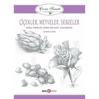 Çizim Sanatı 10 Çiçekler Meyveler Ve Sebzeler - Giovanni Civardi