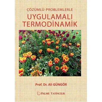 Çözümlü Problemlerle Uygulamalı Termodinamik