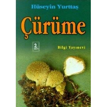 Çürüme Hüseyin Yurttaş