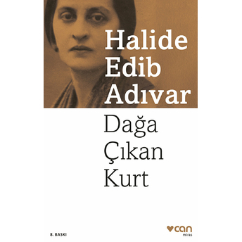 Dağa Çıkan Kurt Halide Edib Adıvar