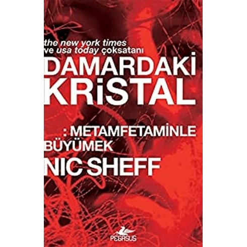 Damardaki Kristal: Metamfetaminle Büyümek - Nic Sheff