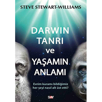 Darwin Tanrı Ve Yaşamın Anlamı Steve Stewart-Williams