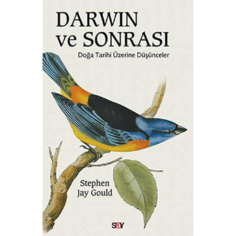 Darwin Ve Sonrası - Doğa Tarihi Üzerine Düşünceler Stephen Jay Gould