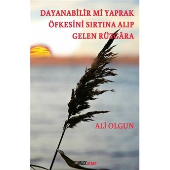 Dayanabilir Mi Yaprak Öfkesini Sırtına Alıp Gelen Rüzgara Ali Olgun