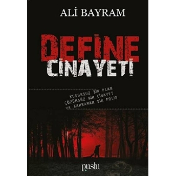 Define Cinayeti Ali Bayram