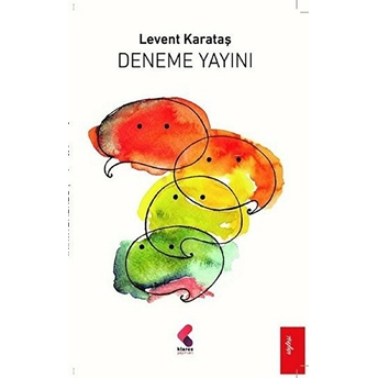 Deneme Yayını Levent Karataş