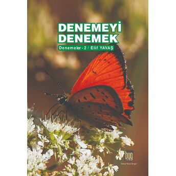 Denemeyi Denemek Elif Yavaş