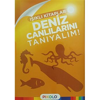 Deniz Canlılarını Tanıyalım - Işıklı Kitaplar Kolektif