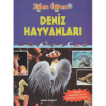 Deniz Hayvanları Derleme