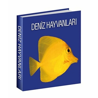 Deniz Hayvanları Kolektif