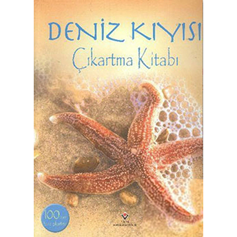 Deniz Kayısı Çıkartma Kitabı Lisa Miles