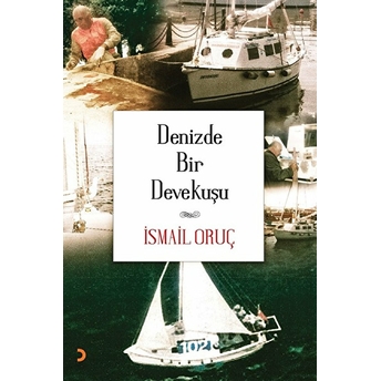 Denizde Bir Devekuşu - Ismail Oruç