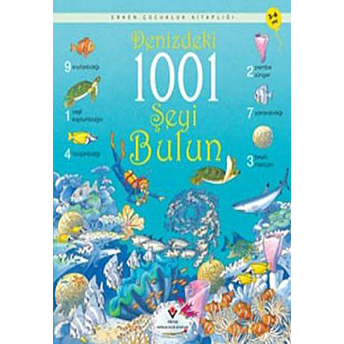 Denizdeki 1001 Şeyi Bulun Katie Daynes