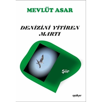 Denizini Yitiren Martı