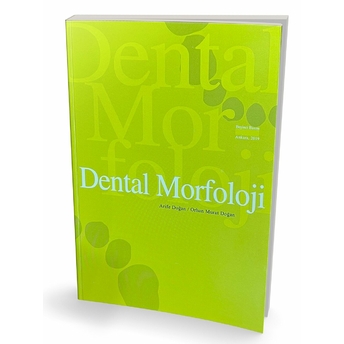 Dental Morfoloji Arife Doğan