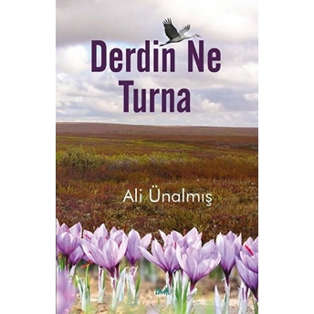 Derdin Ne Turna