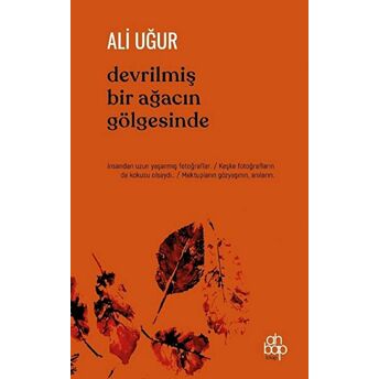 Devrilmiş Bir Ağacın Gölgesinde Ali Uğur