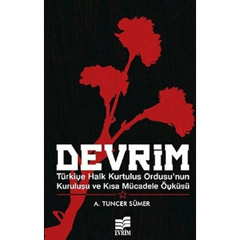 Devrim A. Tuncer Sümer