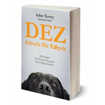 Dez Adında Bir Köpek John Tovey