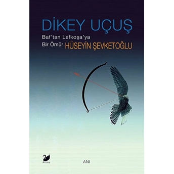 Dikey Uçuş - Hüseyin Şevketoğlu