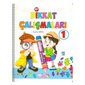 Dikkat Çalışmaları 1 Zeynep Karayel