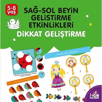 Dikkat Geliştirme - Sağ-Sol Beyin Geliştirme Etkinlikleri